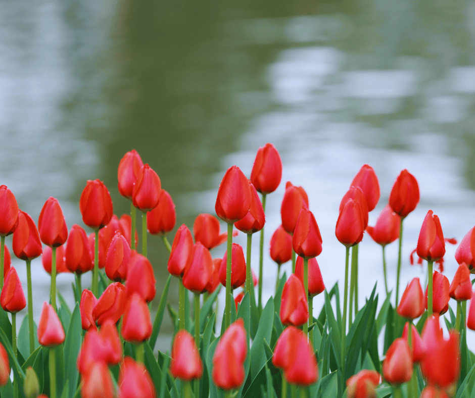 Finding A Reliable Roofing Contractor SCR, Inc. General Contractors Finding A Reliable Roofing Contractor